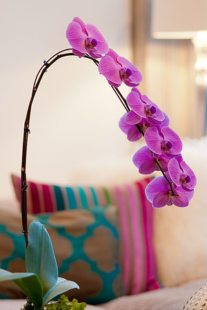 Interiors21